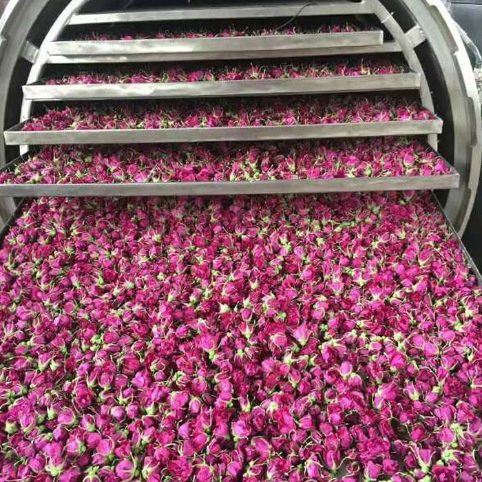 Flower freeze dryer