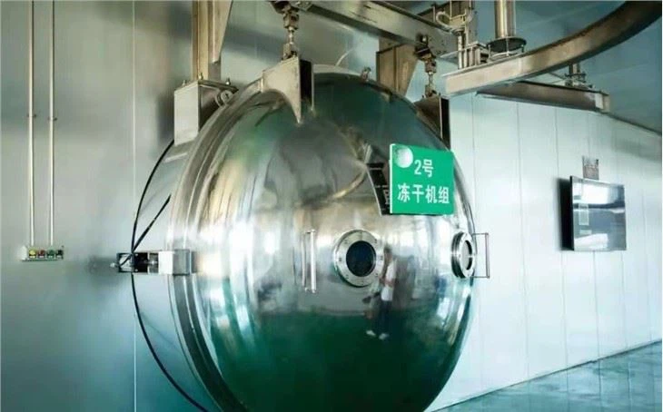 Customized Vacuum Food Freeze Dryer