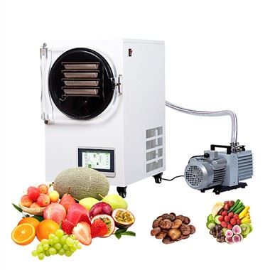 یخ خشک کن کوچک مواد غذایی خانگی